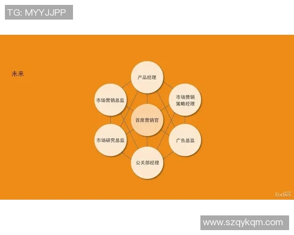 武汉排球队的运营策略深度分析与未来发展展望 武汉排球队的运营策略深度分析与未来发展展望