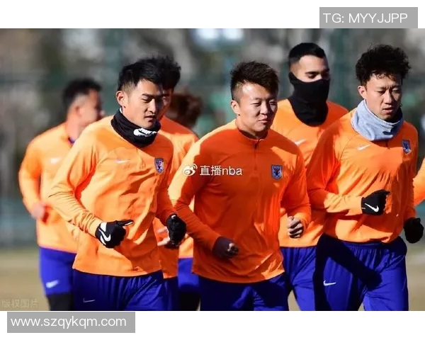 2012赛季中超经典对决申花与鲁能的巅峰对抗回顾