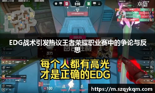 EDG战术引发热议王者荣耀职业赛中的争论与反思