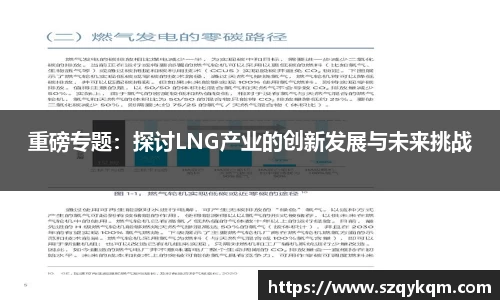 重磅专题：探讨LNG产业的创新发展与未来挑战