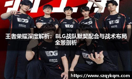 王者荣耀深度解析：BLG战队默契配合与战术布局全景剖析